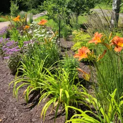 Plage de Baie-Comeau - Baie-Comeau