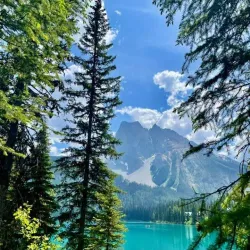 Banff Gondola - Banff