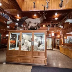 Banff Park Museum - Banff