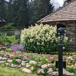 Cascade Gardens - Banff