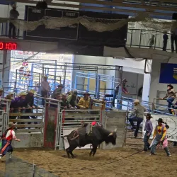 Barrhead Arena - Barrhead