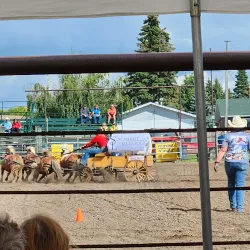 Barrhead Farmers Market - Barrhead