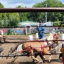 Barrhead Farmers Market - Barrhead