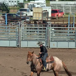 Barrhead Farmers Market - Barrhead