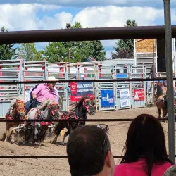 Barrhead Farmers Market - Barrhead