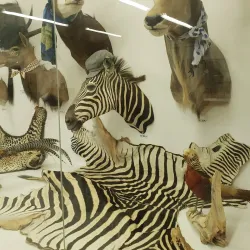 Barrhead Heritage Museum - Barrhead