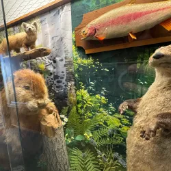 Barrhead Heritage Museum - Barrhead