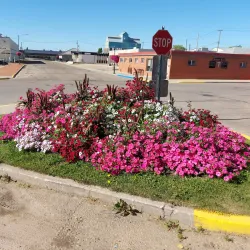 Barrhead Riverwalk Trail - Barrhead