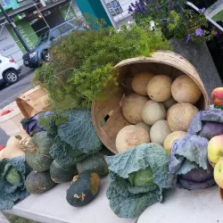 Barrie Farmers' Market - Barrie