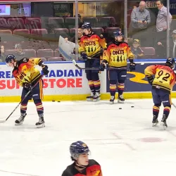 Barrie Molson Centre (Sadlon Arena) - Barrie