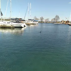 Barrie Waterfront and Centennial Park - Barrie