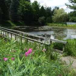 Tiffin Centre for Conservation - Barrie