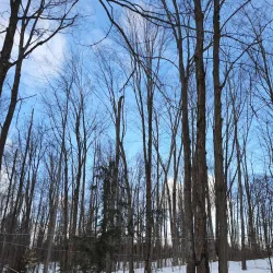 Tiffin Centre for Conservation - Barrie