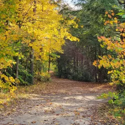 Tiffin Centre for Conservation - Barrie