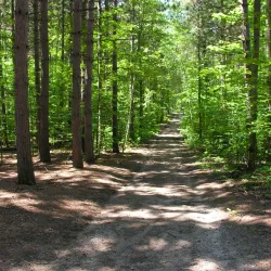 Tiffin Centre for Conservation - Barrie