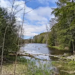 Tiffin Centre for Conservation - Barrie