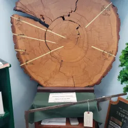 Bathurst Heritage Museum - Bathurst