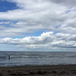 Bathurst Marina - Bathurst