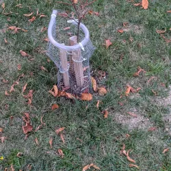 Chaleur Bay Coastal Trail - Bathurst