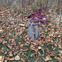 Chaleur Bay Coastal Trail - Bathurst
