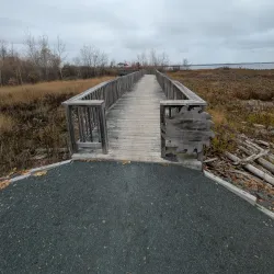 Chaleur Bay Coastal Trail - Bathurst