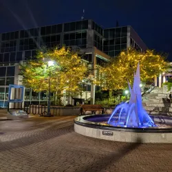 Place 1604 - Bathurst