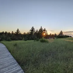 Youghall Beach Park - Bathurst