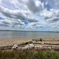Youghall Beach Park - Bathurst