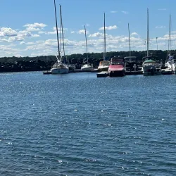 Youghall Beach Park - Bathurst