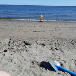 Youghall Beach Park - Bathurst