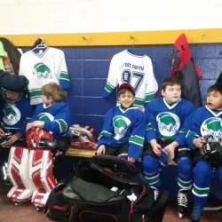 Beaverlodge Arena - Beaverlodge