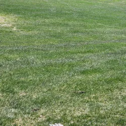 Beaverlodge Golf Club - Beaverlodge