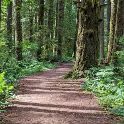 Beaverlodge Walking Trails - Beaverlodge