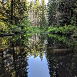 Beaverlodge Walking Trails - Beaverlodge