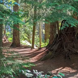 Beaverlodge Walking Trails - Beaverlodge