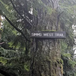 Beaverlodge Walking Trails - Beaverlodge