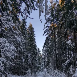 Beaverlodge Walking Trails - Beaverlodge