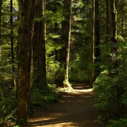 Beaverlodge Walking Trails - Beaverlodge