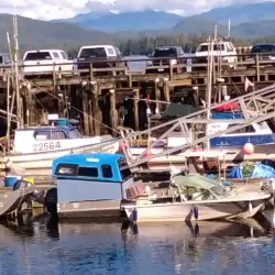 Campbell Island - Bella Bella