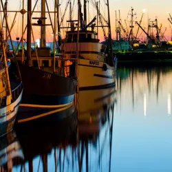 Campbell Island - Bella Bella