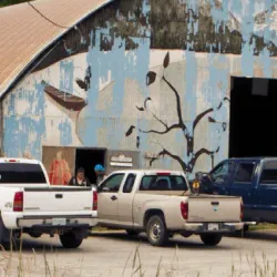 Community Events and Festivals - Bella Bella