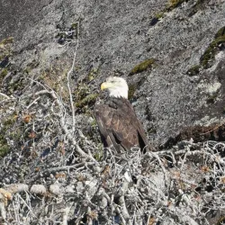 Fishing and Kayaking Tours - Bella Bella