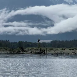 Fishing and Kayaking Tours - Bella Bella