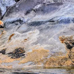 Great Bear Rainforest - Bella Bella