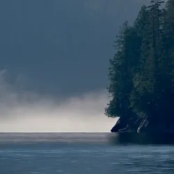 Great Bear Rainforest - Bella Bella