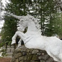 Local Art Galleries and Shops - Bella Bella