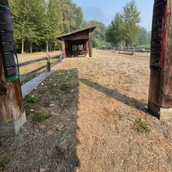 Marine Wildlife Viewing - Bella Bella