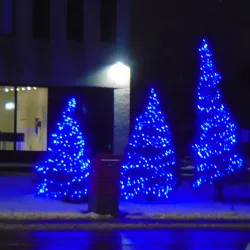Marché Public de Boisbriand - Boisbriand