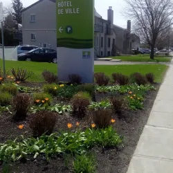 Marché Public de Boisbriand - Boisbriand