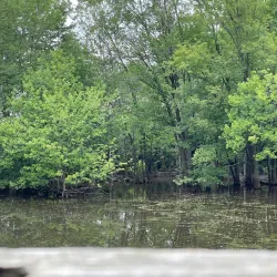 Parc Écologique de Boisbriand - Boisbriand